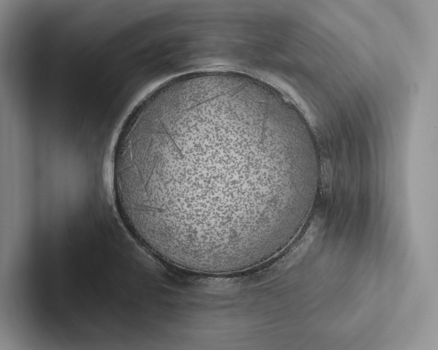 X0000103131424200809051559