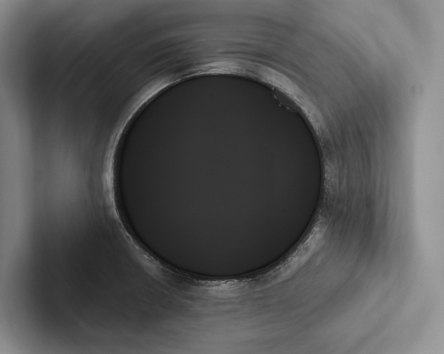X0000103131426200809051559