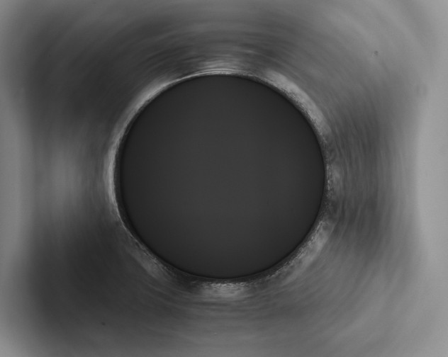 X0000103131427200809051559