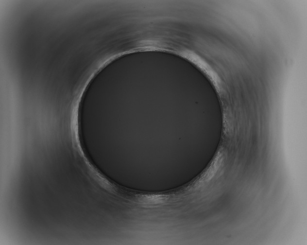 X0000103131431200809051559