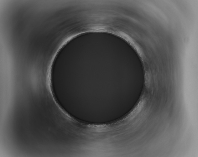 X0000103131432200809051559