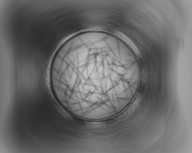 X0000103131436200809051559
