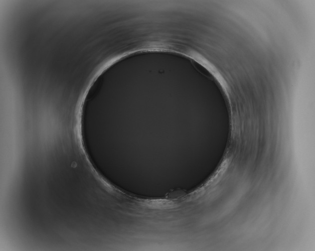X0000103131437200809051559