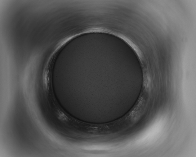 X0000103131438200809051559