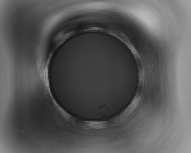 X0000103131439200809051559