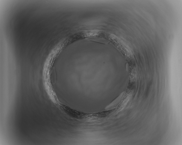X0000103131441200809051559