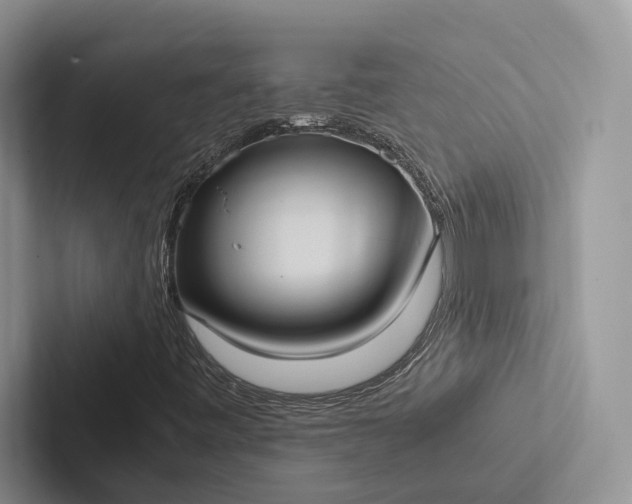 X0000103131443200809051559