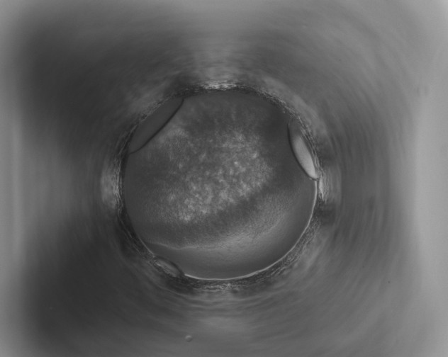 X0000103131444200809051559