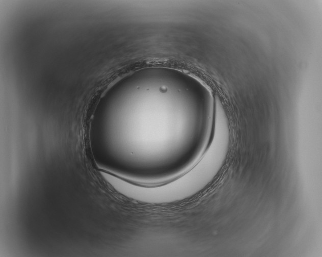 X0000103131445200809051559
