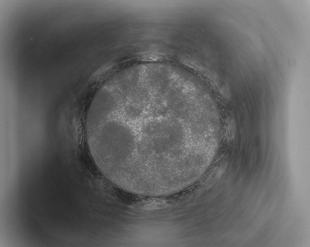 X0000103131446200809051559