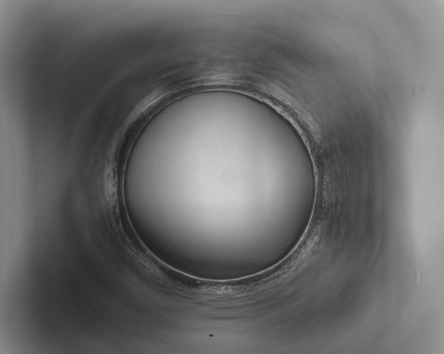 X0000103131450200809051559