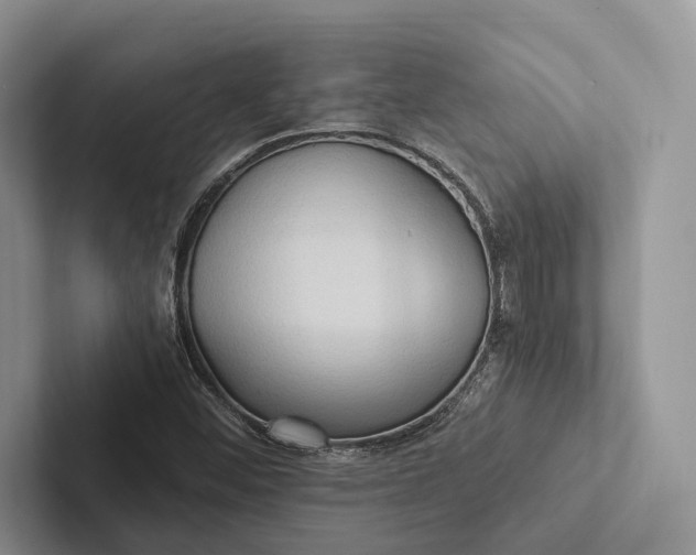 X0000103131452200809051559