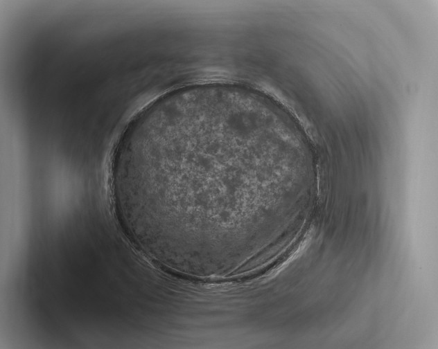 X0000103131453200809051558