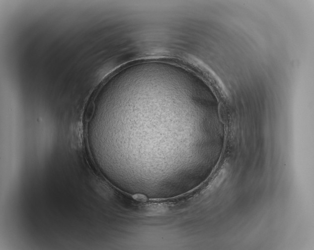 X0000103131457200809051558