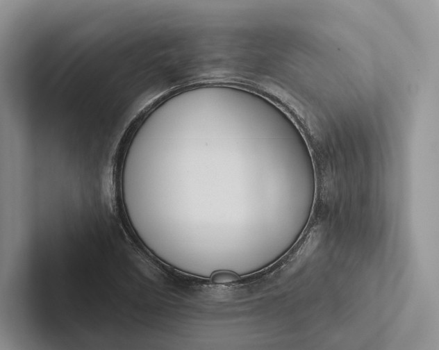 X0000103131458200809051558