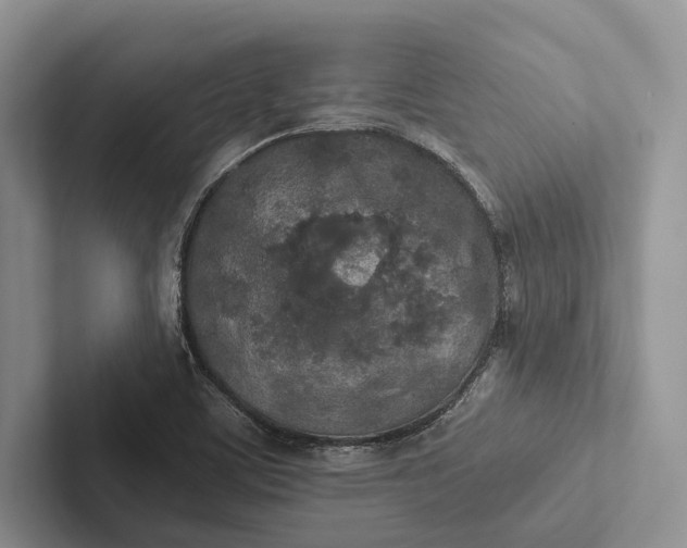 X0000103131459200809051558