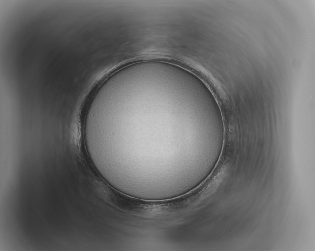 X0000103131461200809051558