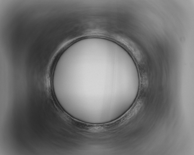 X0000103131462200809051558