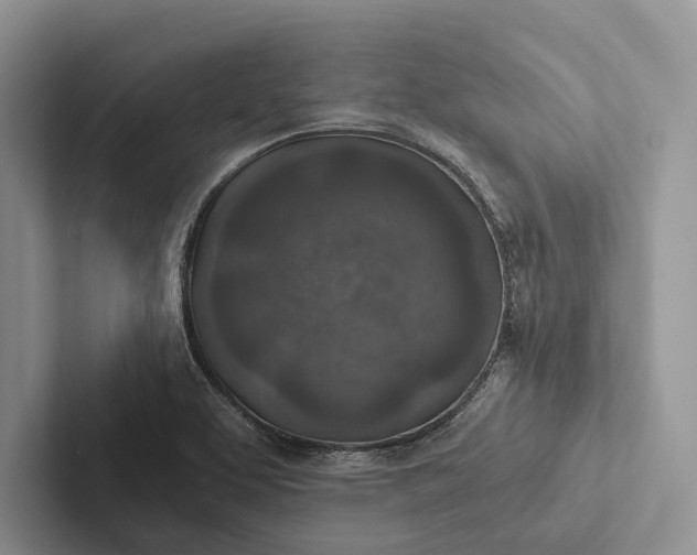 X0000103131463200809051558