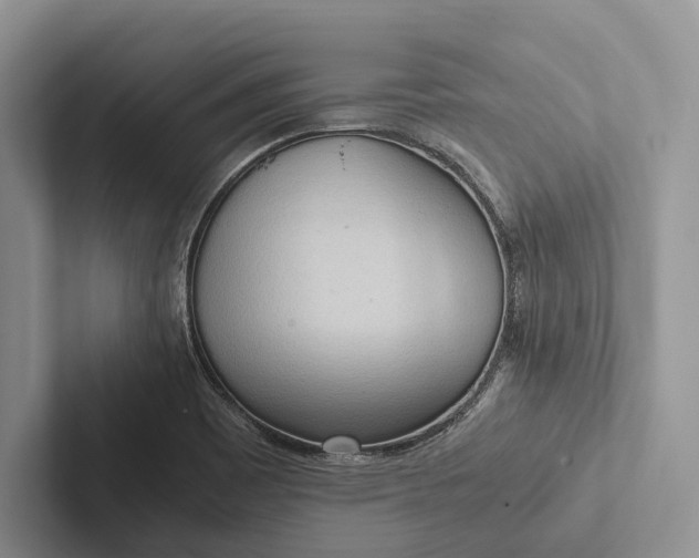 X0000103131465200809051558