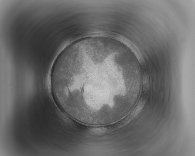 X0000103131466200809051558