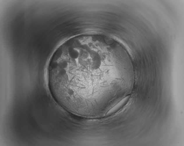 X0000103131467200809051558