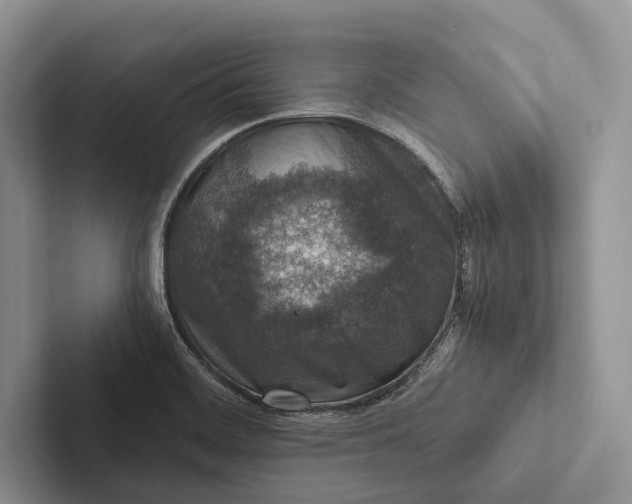 X0000103131468200809051558