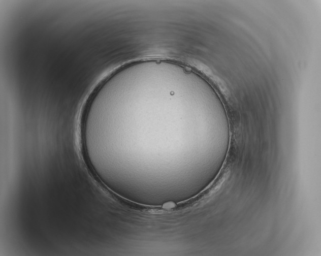X0000103131469200809051558