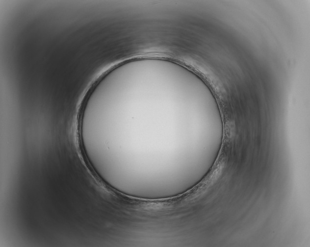 X0000103131470200809051558