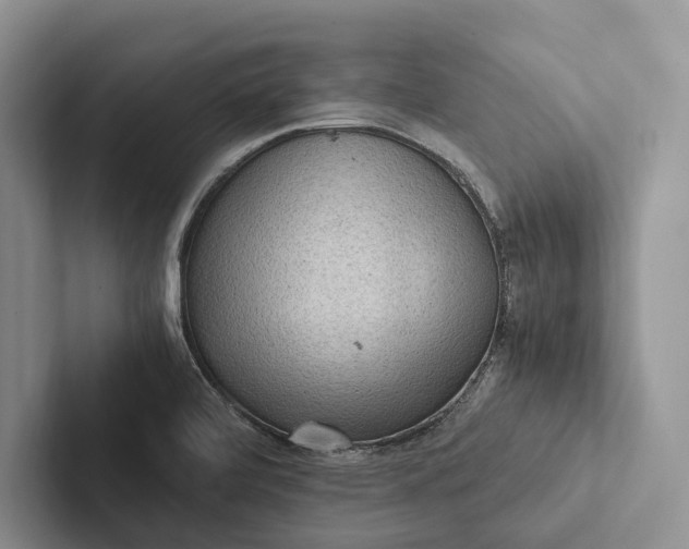 X0000103131472200809051558