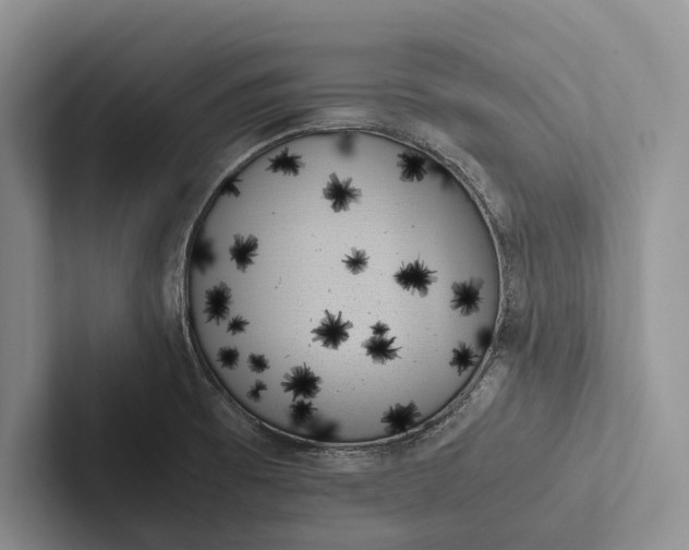 X0000103131473200809051558