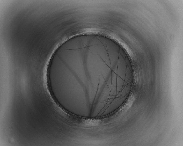 X0000103131475200809051558
