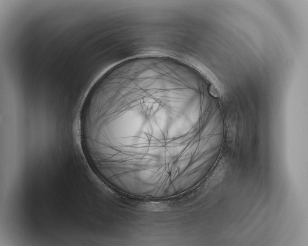 X0000103131476200809051558