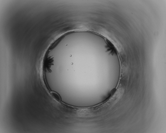X0000103131477200809051558