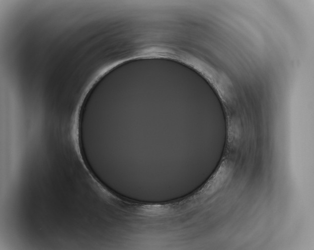 X0000103131478200809051558