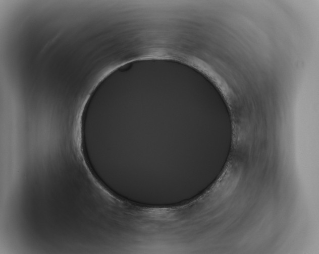 X0000103131479200809051558