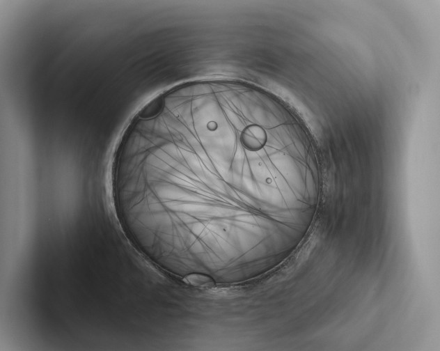 X0000103131480200809051558