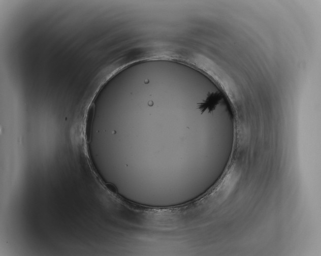X0000103131481200809051558