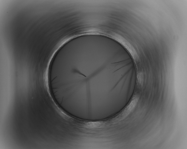 X0000103131482200809051558