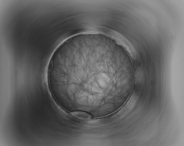 X0000103131484200809051558