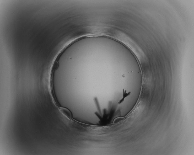X0000103131485200809051558