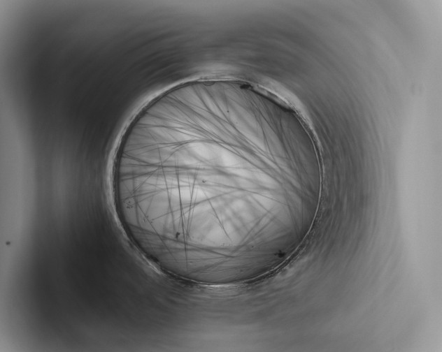 X0000103131488200809051558
