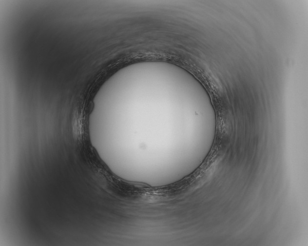 X0000103131490200809051557