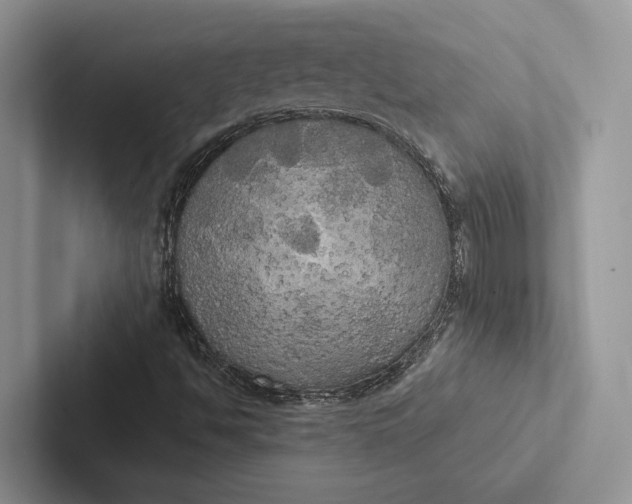 X0000103131494200809051557