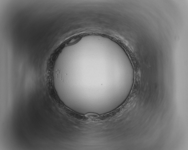 X0000103131496200809051558