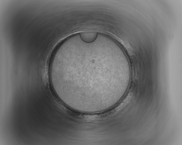X0000103131498200809051558