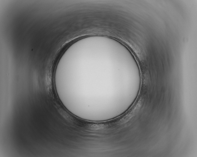 X0000103131499200809051558
