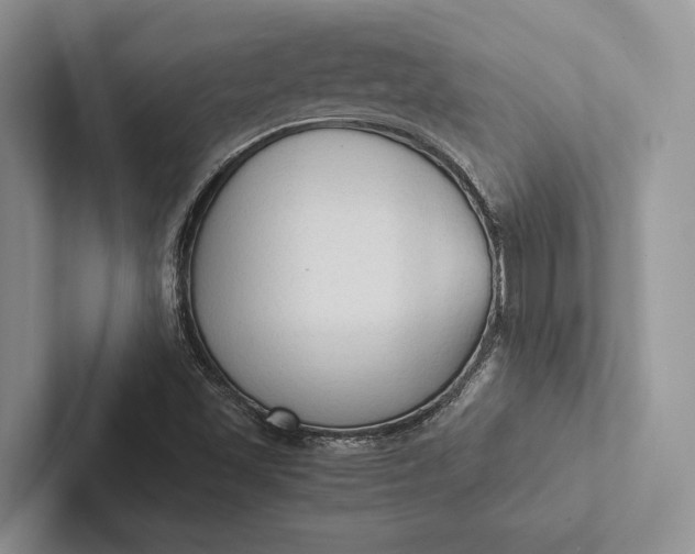 X0000103131501200809051558