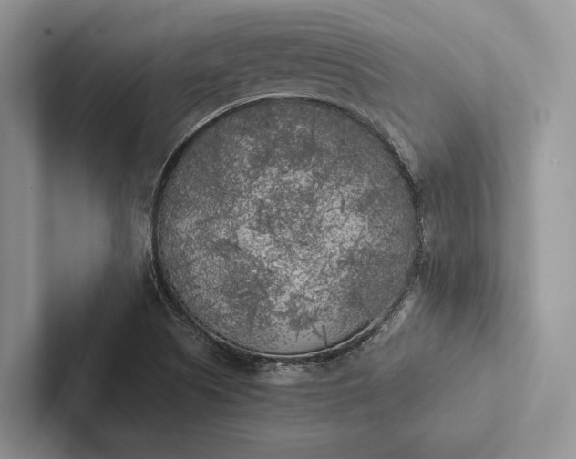 X0000103131505200809051558