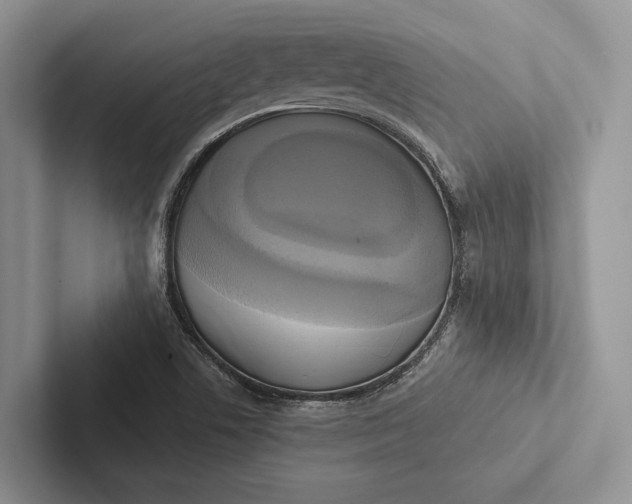 X0000103131506200809051558